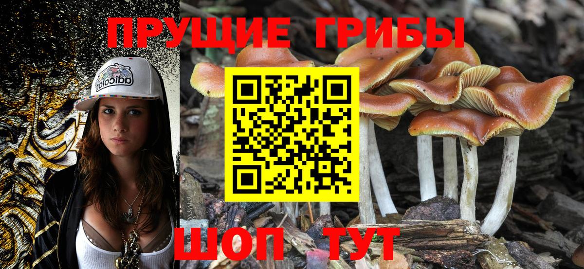 Галлюциногенные грибы мухоморы Видное