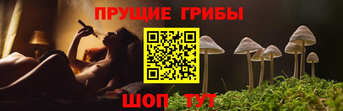 Галлюциногенные грибы Magic Shrooms  Псилоцибиновые грибы Psilocybe  Видное  Вход с VPN 